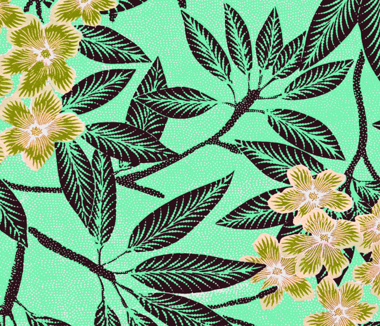 INDO GREEN TOP