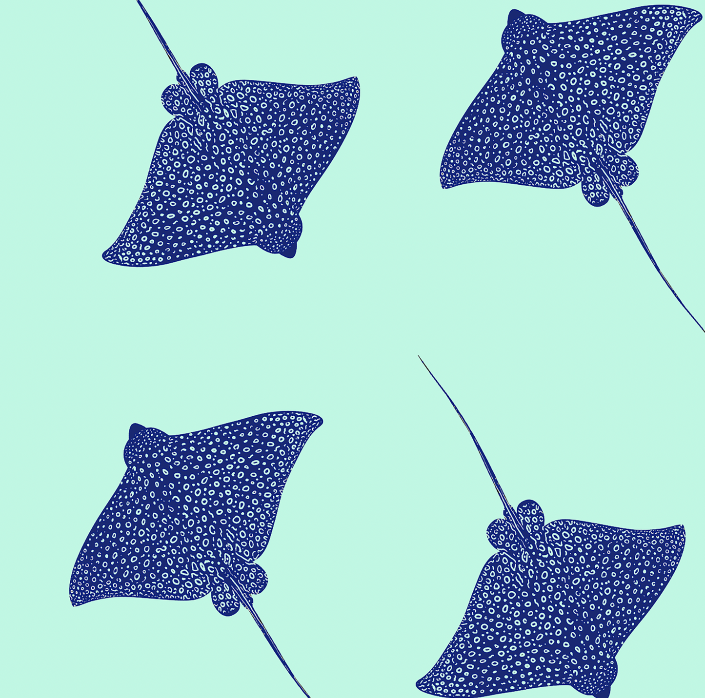 AQUA RAY BOTTOMS