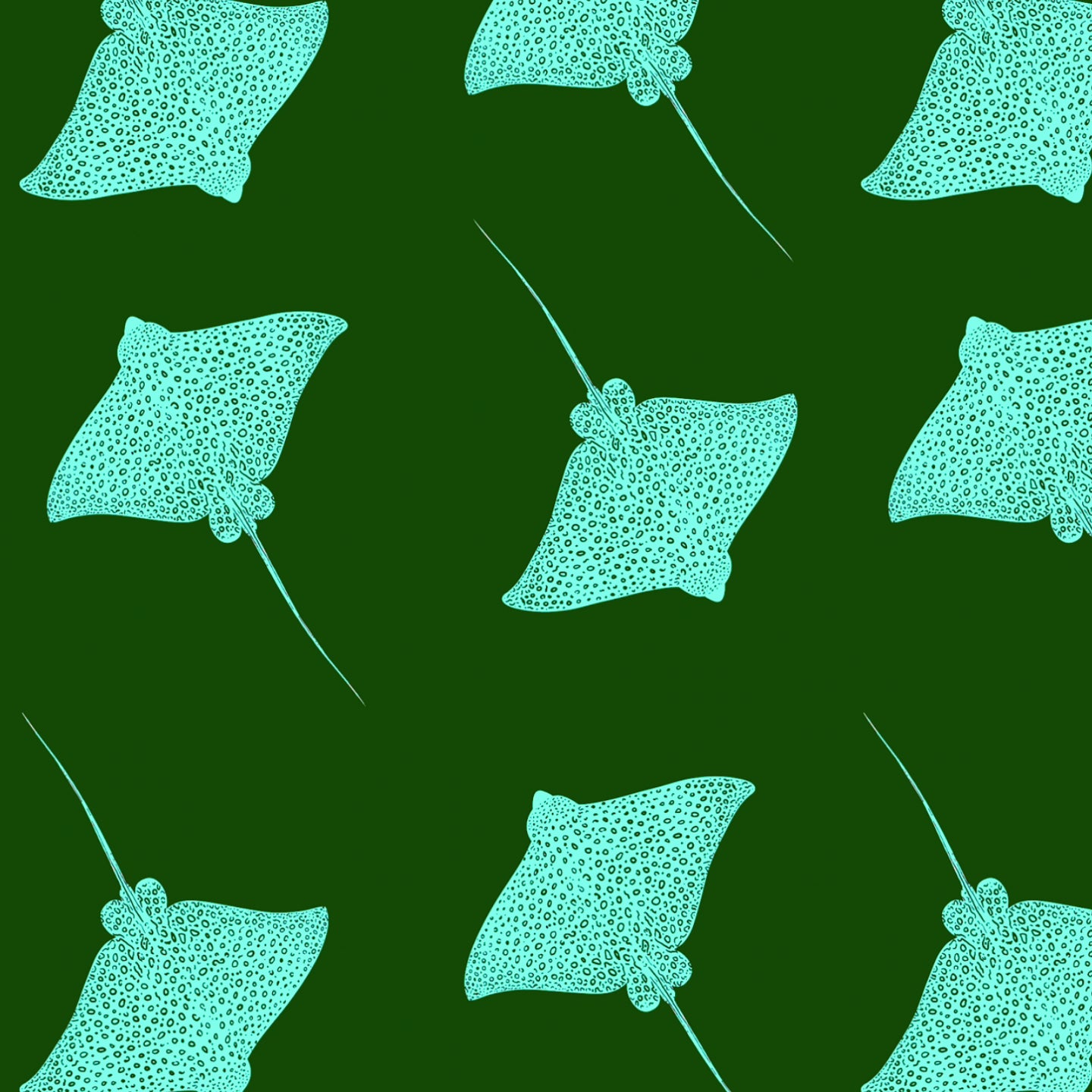 GREEN RAY TOP