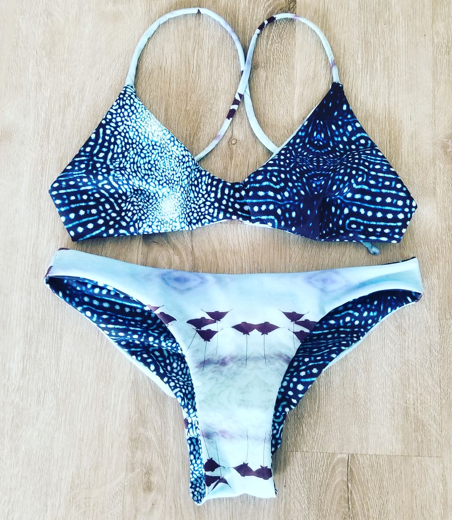 Blue Ray & whale shark Caylee X Back